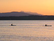 bush point sunset