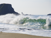 still life of a wave