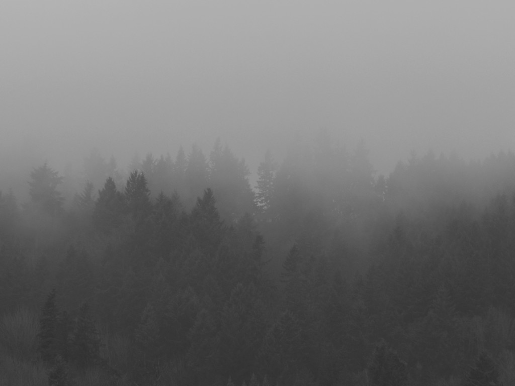 Auburn West Hill Fog
